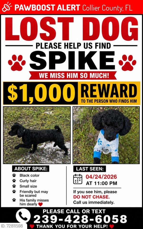 Lost Male Dog last seen Near 68 th ave ne naple fl 34120, Collier County, FL 34120