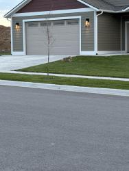 Found/Stray Unknown Dog last seen Between Christian drive and Harrison Scott drive, Missoula, MT 59803