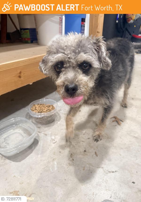 Found/Stray Unknown Dog last seen Boat Club Road, Fort Worth, TX 76135