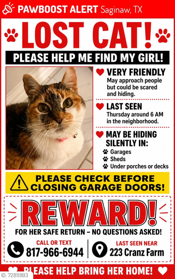 Lost Female Cat last seen Baileyboswell, Saginaw, TX 76131