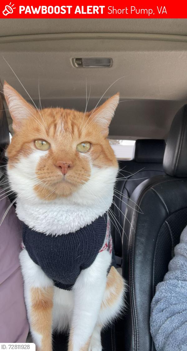 Lost Male Cat last seen Short pump va, Short Pump, VA 23233