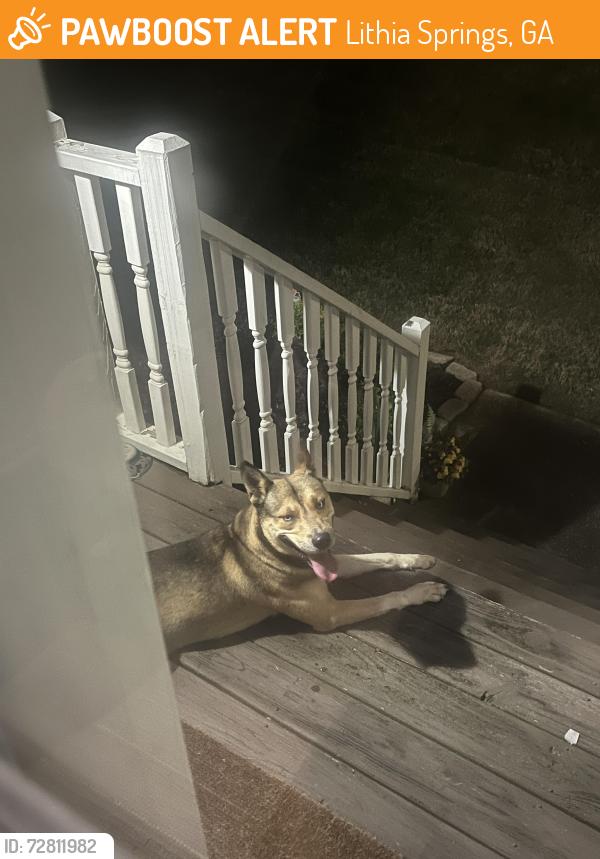 Found/Stray Male Dog last seen Mount Vernon and Silver Creek Dr, Lithia Springs, GA 30122