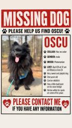 Lost Male Dog last seen Zaxbis plaza americas, Lilburn, GA 30047