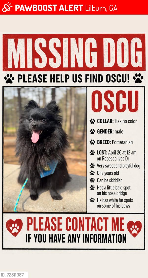 Lost Male Dog last seen Zaxbis plaza americas, Lilburn, GA 30047