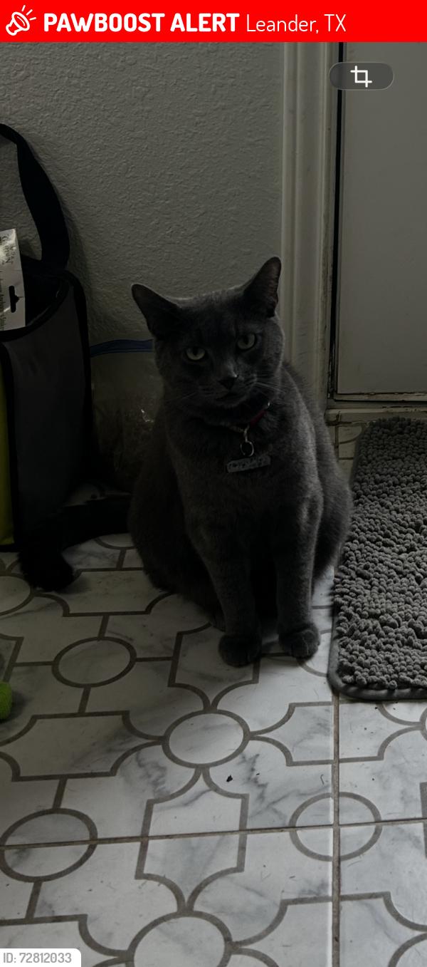 Lost Male Cat last seen Block hse Creek Neighborhood, Leander, TX 78641