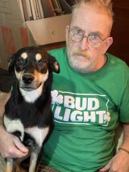 Lost Female Dog last seen Dowling and Old Seward, Anchorage, AK 99518