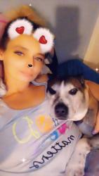 Lost Female Dog last seen South 9th St by Ctown Jimmy's , Reading, PA 19602