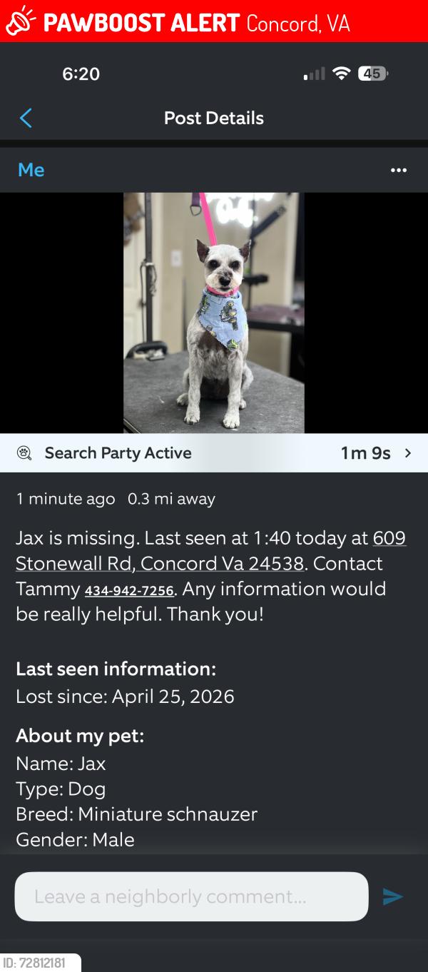 Lost Male Dog last seen Stonewall rd and 460 near the stoplight at Sheetz, Concord, VA 24538