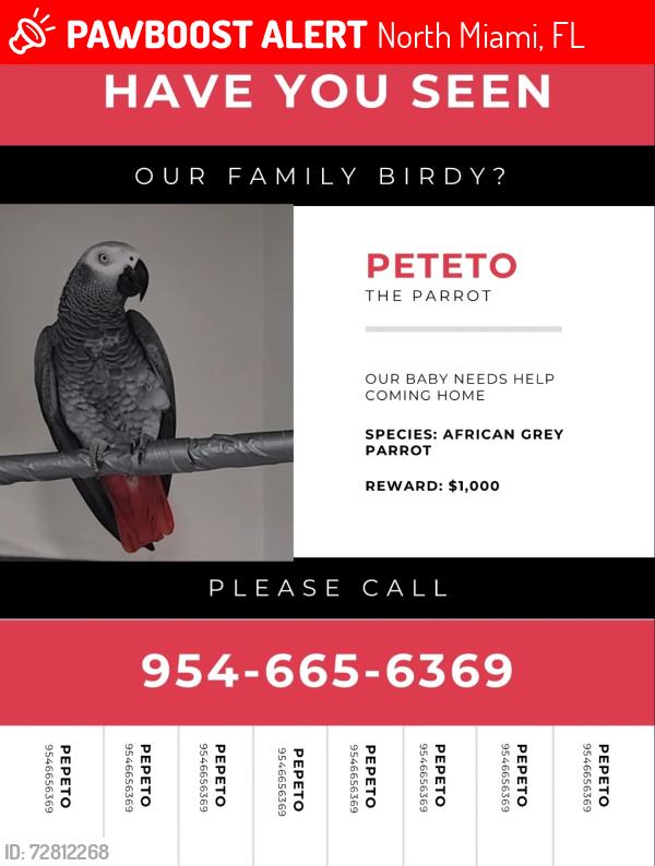 Lost Female Bird last seen North Miami , North Miami, FL 33161