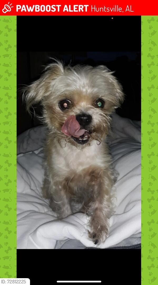 Lost Unknown Dog last seen Near South Plymouth Rd NW/Meridian St near MLK  elementary , Huntsville, AL 35811