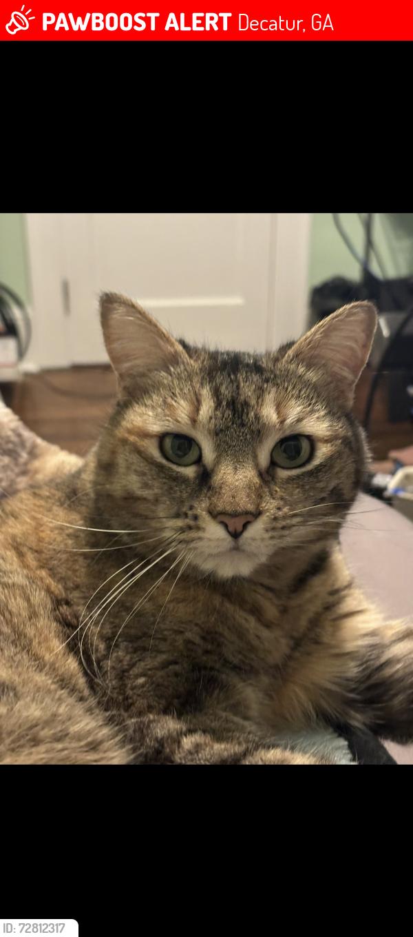 Lost Female Cat last seen Stop sign at S Mcdonough St and W Dougherty St, Decatur, GA 30030