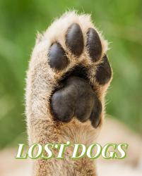 Lost Male Dog last seen S Collins and Webb Ferrell Rd South , Arlington, TX 76002