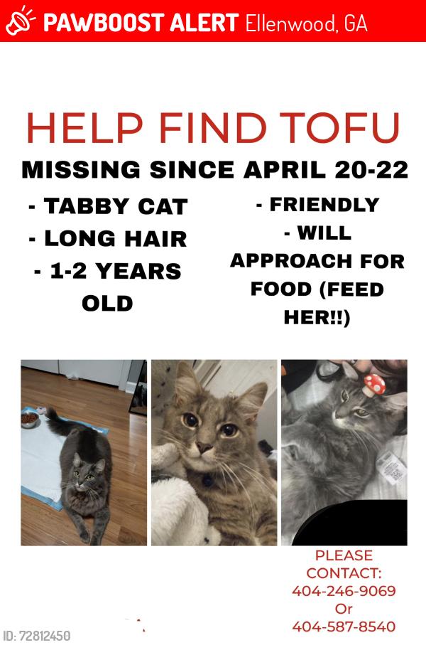 Lost Female Cat last seen North wind drive, Ellenwood Georgia , Ellenwood, GA 30294