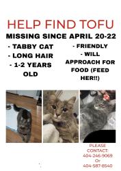 Lost Female Cat last seen North wind drive, Ellenwood Georgia , Ellenwood, GA 30294