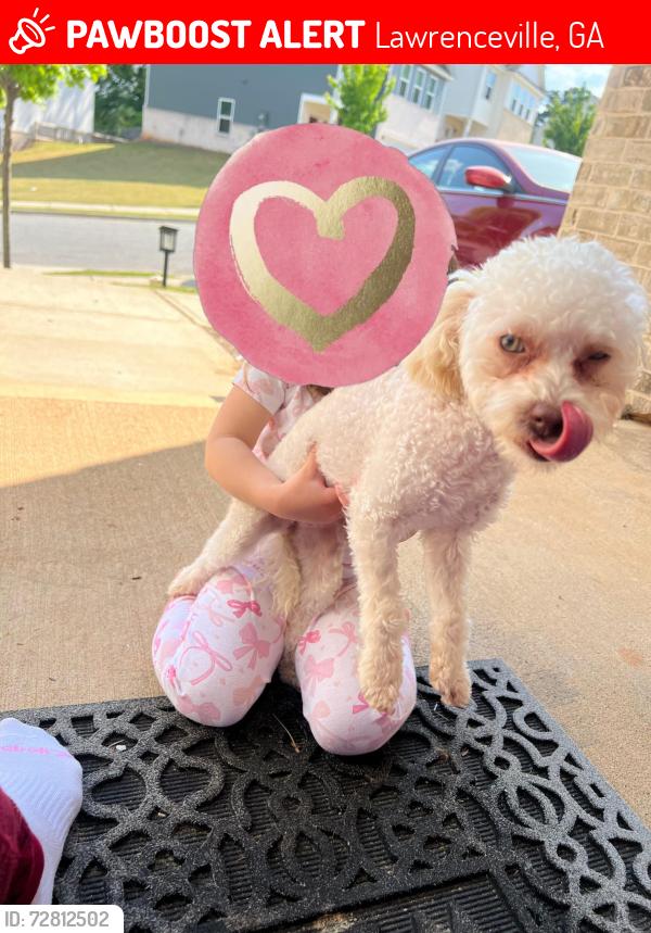 Lost Female Dog last seen Mckenzie dr, Lawrenceville, GA 30045