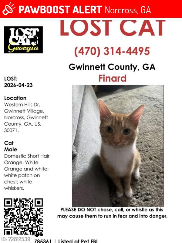 Lost Male Cat last seen Norcross , Norcross, GA 30071