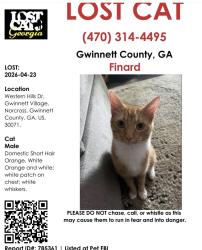 Lost Male Cat last seen Norcross , Norcross, GA 30071