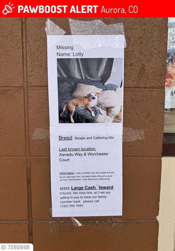 Lost Male Dog last seen Worchester court, Iliff, Aurora, CO 80014