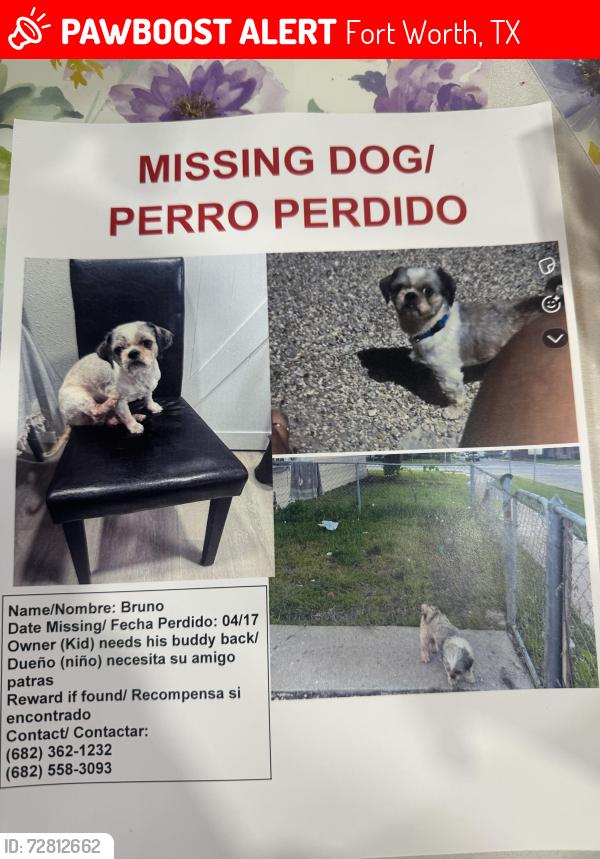 Lost Male Dog last seen Waggoman Street, Fort Worth, TX 76110