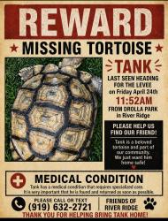 Lost Female Reptile last seen Drolla Park in River Ridge La, River Ridge, LA 70123