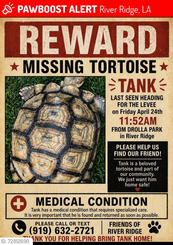 Lost Female Reptile last seen Drolla Park in River Ridge La, River Ridge, LA 70123