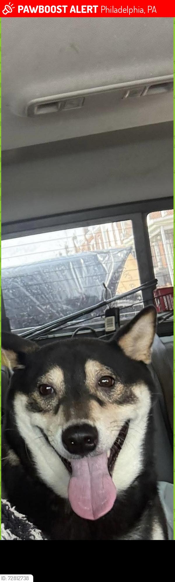Lost Male Dog last seen S 55th and Whitby , Philadelphia, PA 19143