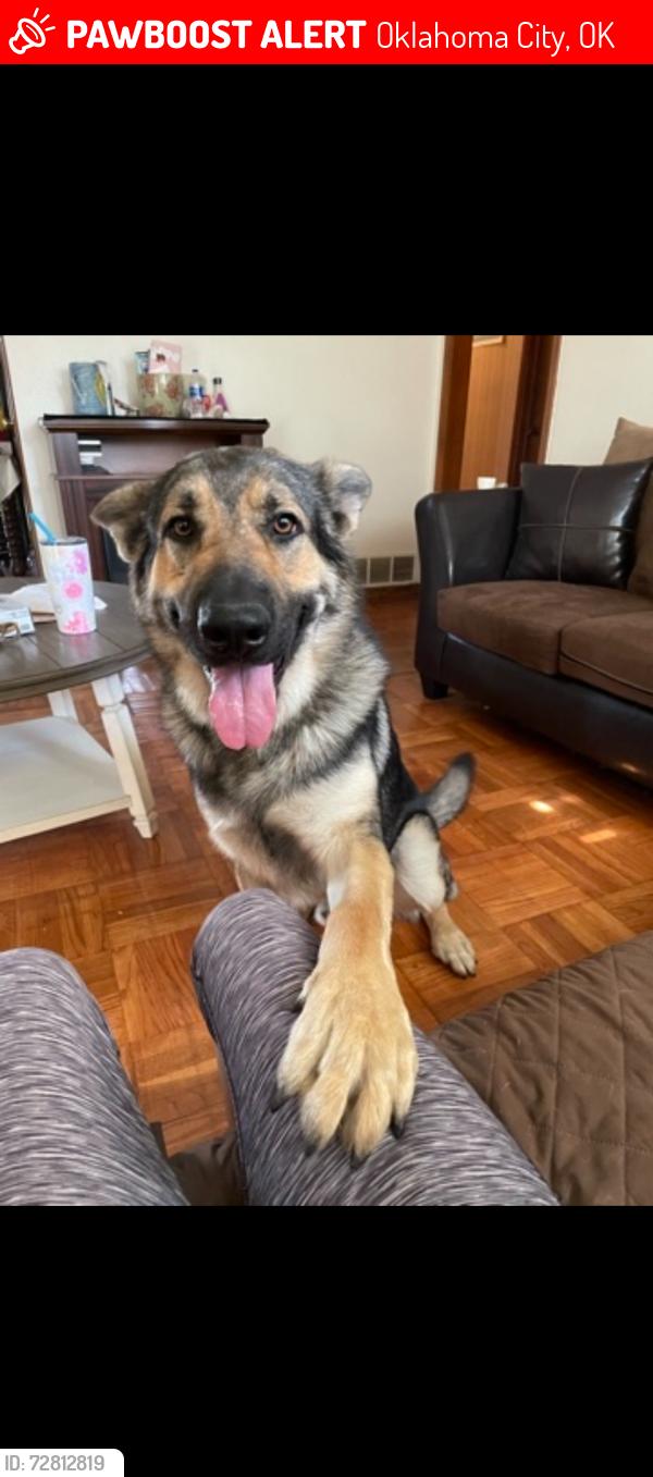 Lost Male Dog last seen Independence , Oklahoma City, OK 73112