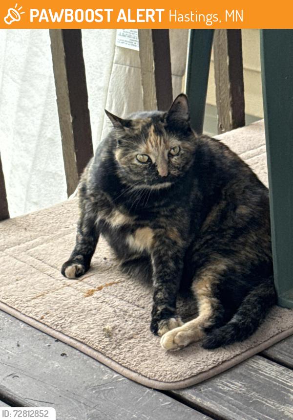 Found/Stray Female Cat last seen Three rivers mobile  park, Hastings, MN 55033
