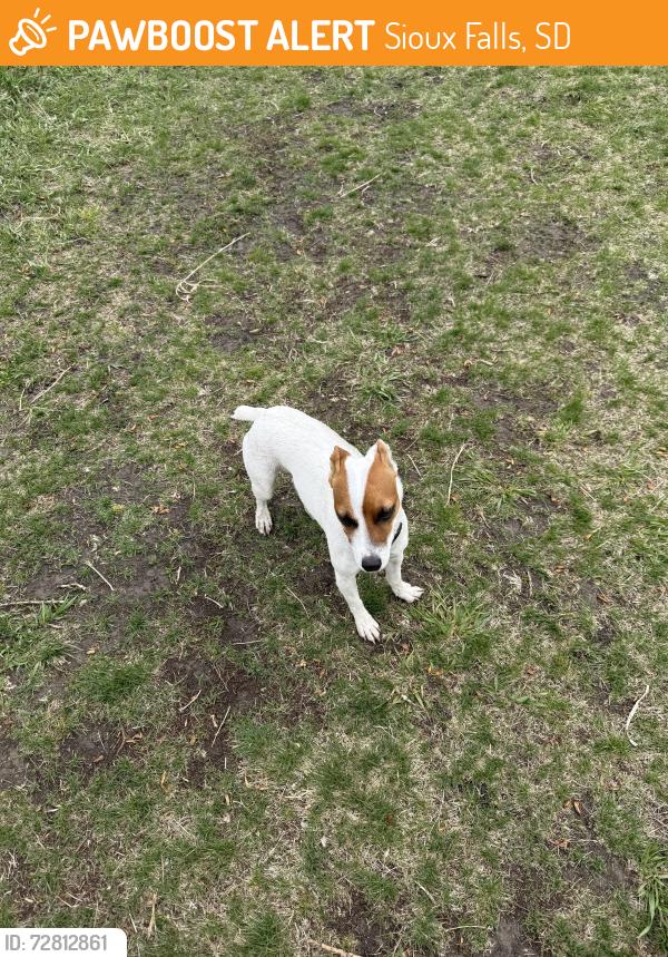Found/Stray Unknown Dog last seen Family Park Off Leash Trail, Sioux Falls, SD 57107