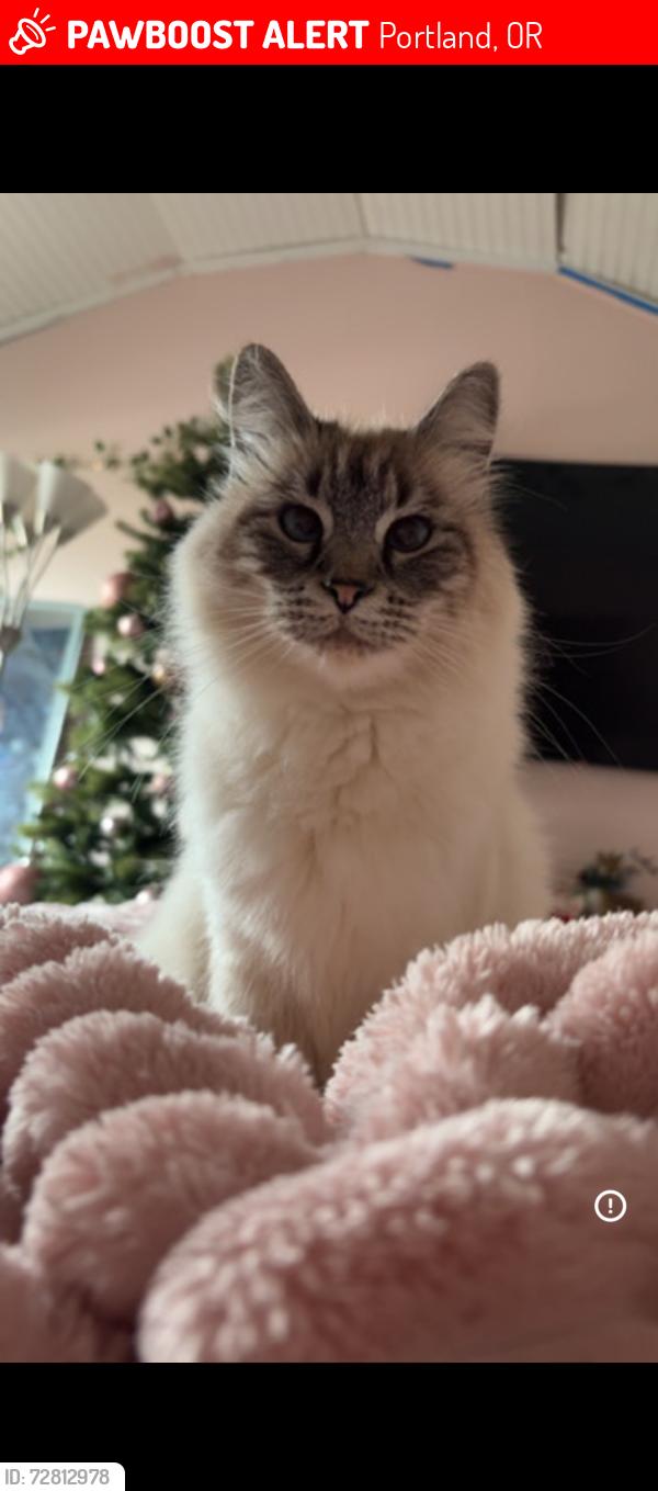 Lost Female Cat last seen Se 150 th Ave and Se Main, Portland, OR 97233