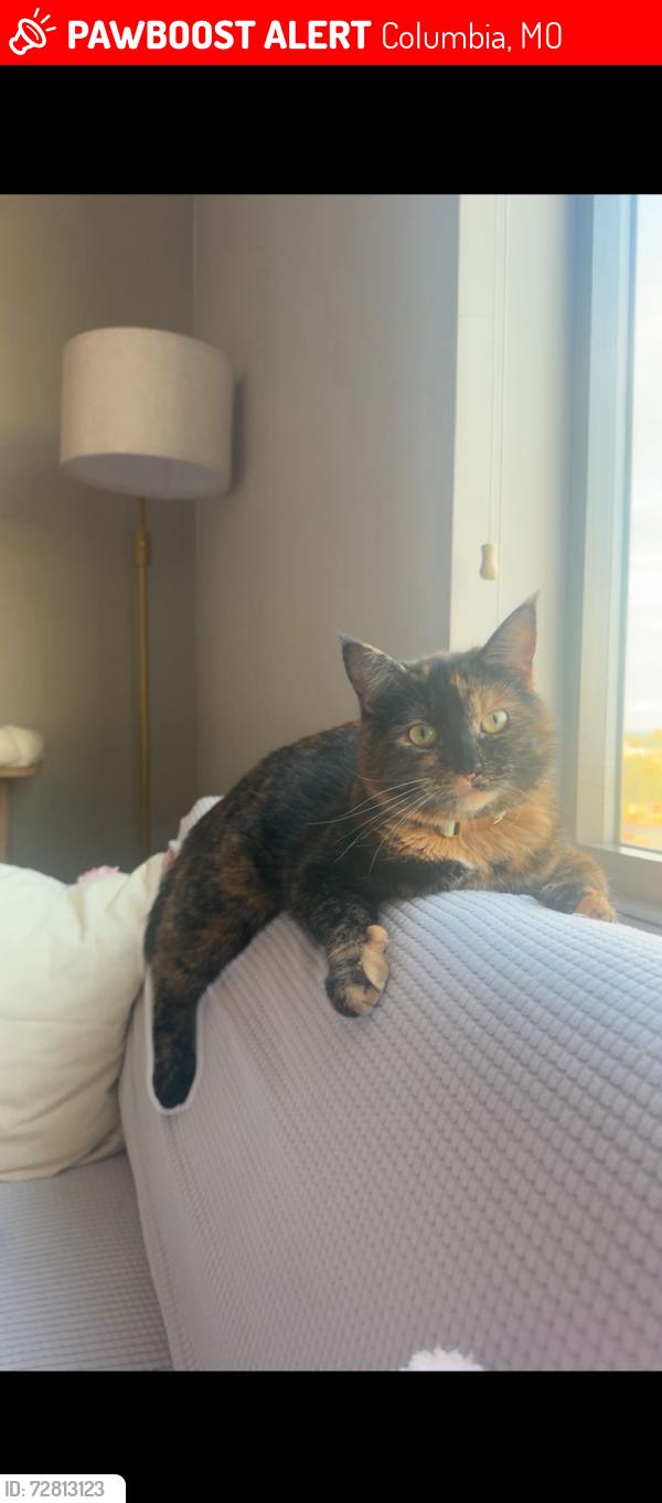 Lost Female Cat last seen east campus , Columbia, MO 65201