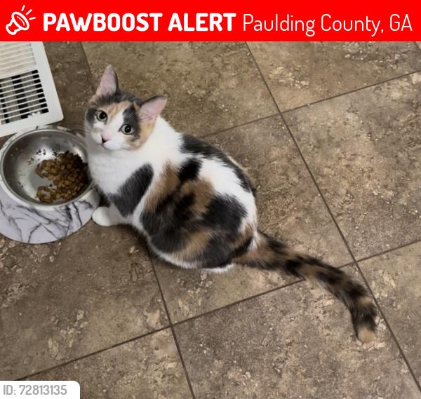 Lost Female Cat last seen Maplewood Subdivision (corner of Dallas Acworth Hwy & Old Stilesboro Rd, between Pickett’s Mill Elementary and Roland W. Russom Elementary), Paulding County, GA 30101