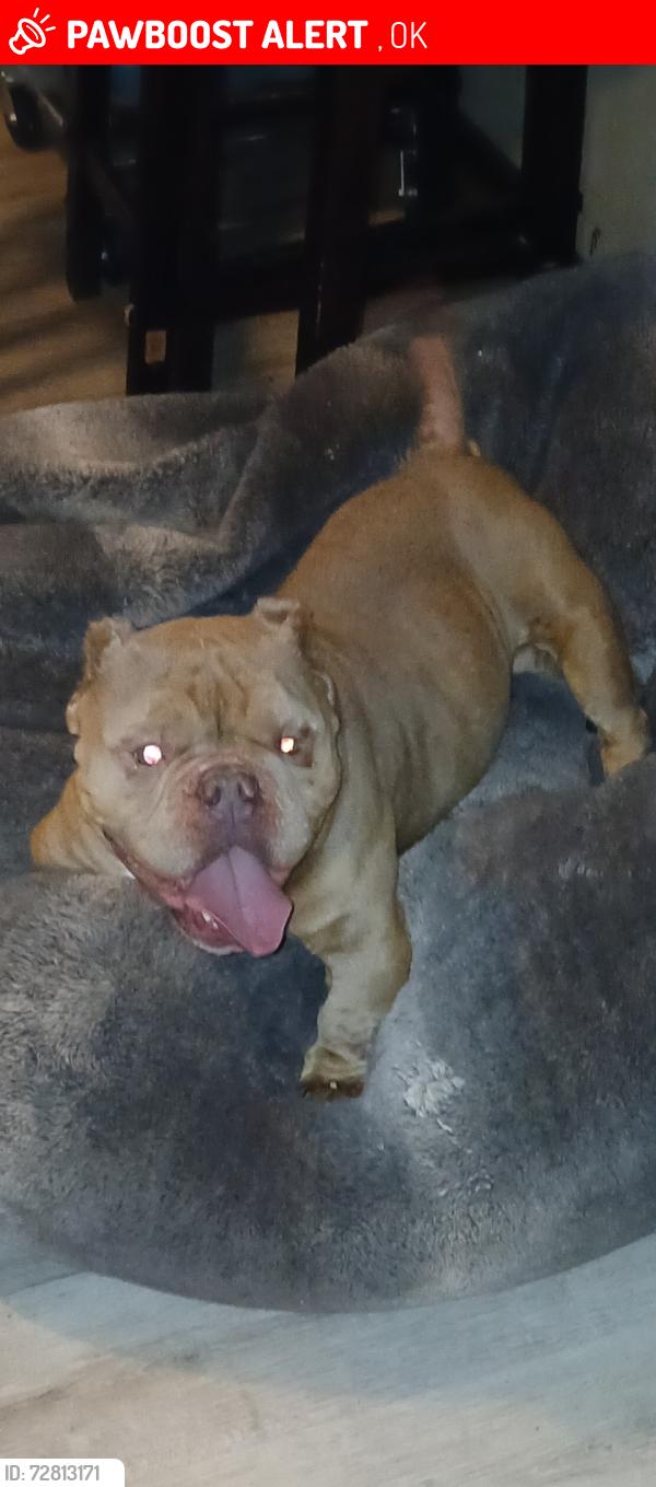 Lost Male Dog last seen Air depot, Del City, OK 73115