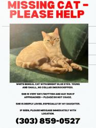 Lost Female Bird last seen Alameda and teller, Lakewood, CO 80226