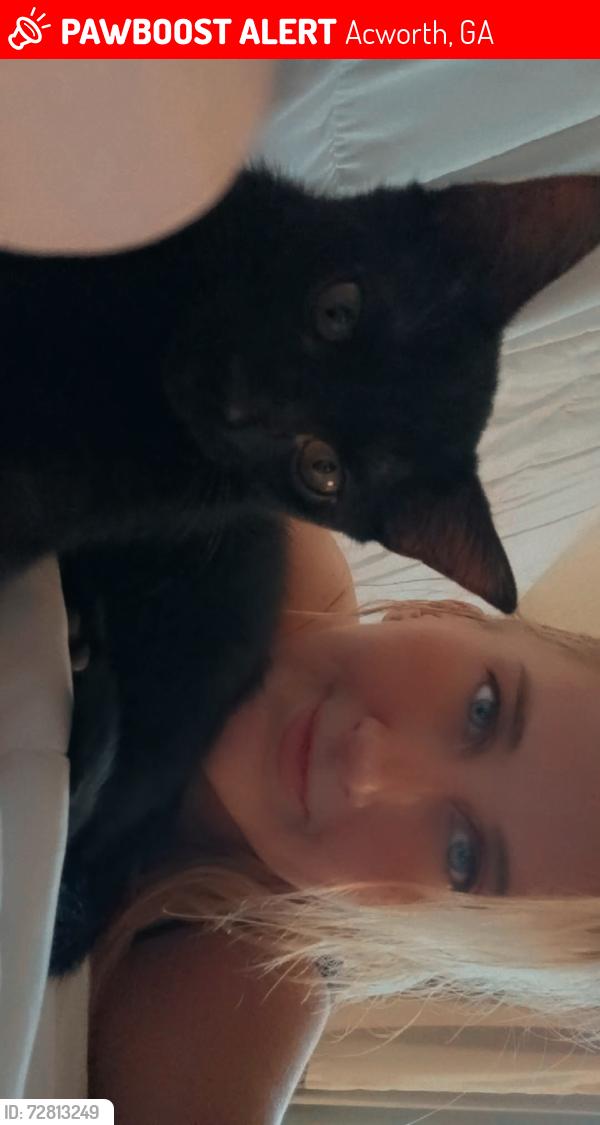 Lost Male Cat last seen Baker rd and Woodstock rd , Acworth, GA 30101