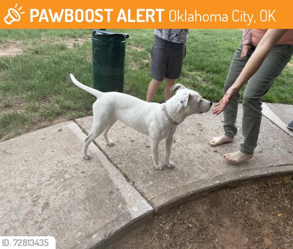 Found/Stray Female Dog last seen This little dog is currently at the Diamond Lake apmts (NW 50, Ann Arbor), across from St. Charles Church. A woman has her and is looking for her owners, Oklahoma City, OK 73122