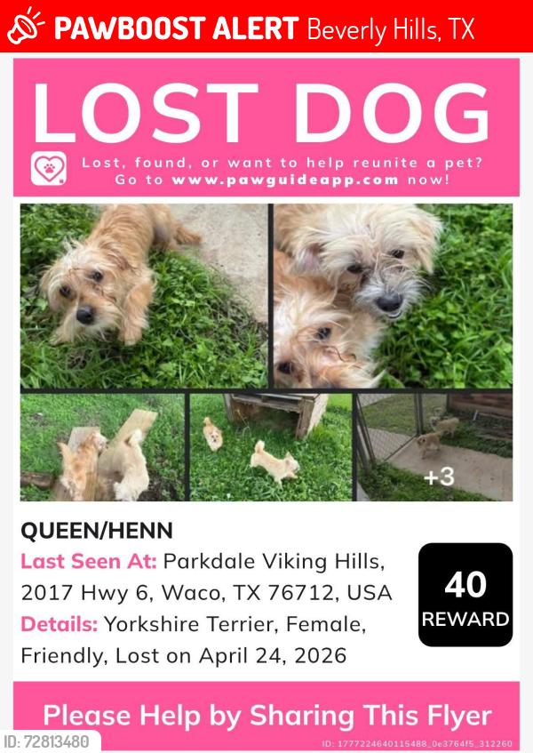 Lost Female Dog last seen Parkdale Viking Hills, 2017 Hwy 6, Waco, TX 76712, USA, Beverly Hills, TX 76711