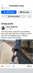 Found/Stray Male Dog last seen Near and Indian School Rd, Scottsdale AZ , Scottsdale, AZ 85251