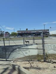Found/Stray Unknown Dog last seen Ontario st, Oxnard, CA 93035