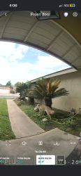 Found/Stray Unknown Dog last seen alder creek dr and big creek rd, Ontario, CA 91761