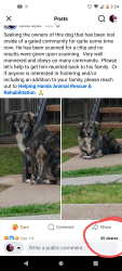 Found/Stray Unknown Dog last seen ALMEDA 77075, Houston, TX 77075