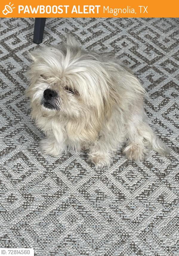 Found/Stray Male Dog last seen Autumnwood and Hardin store rd , Magnolia, TX 77354