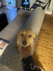 Lost Female Other last seen Concord Airport, Concord, CA 94519