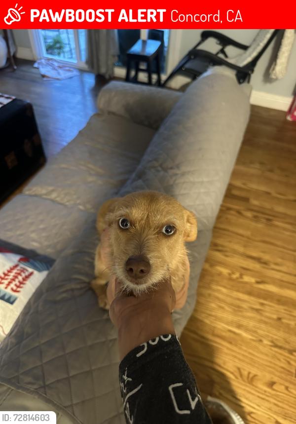 Lost Female Other last seen Concord Airport, Concord, CA 94519