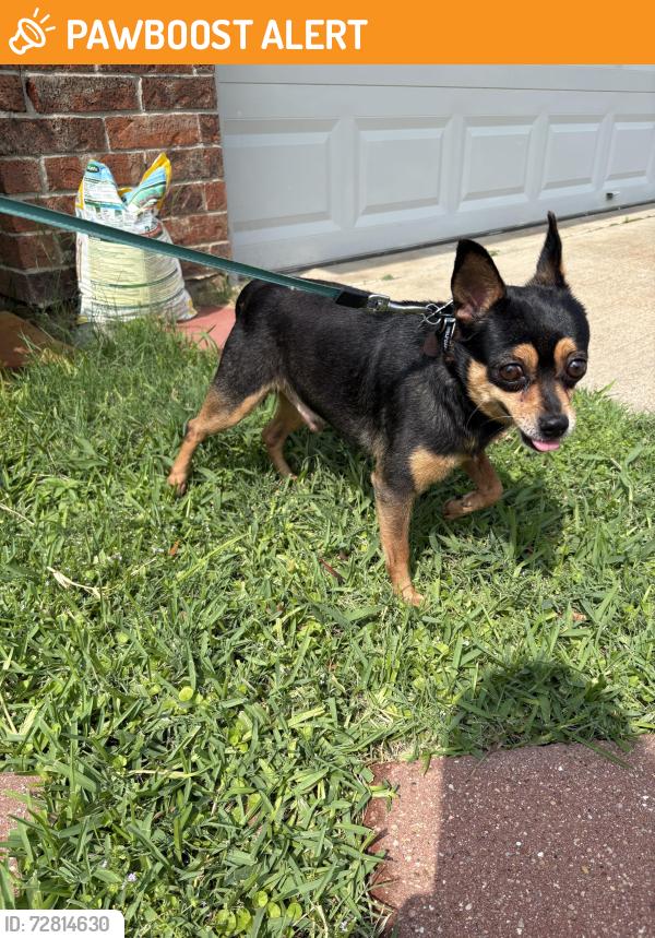 Found/Stray Male Dog last seen Cork St. , North Richland Hills, TX 76180