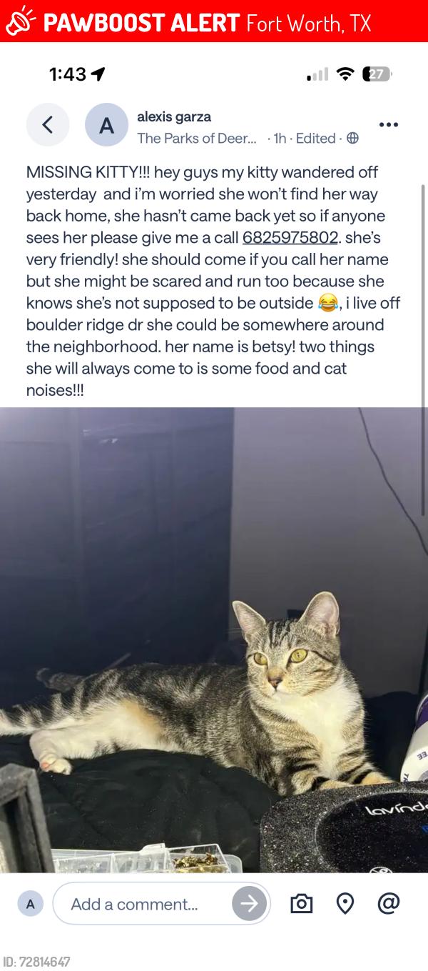 Lost Female Cat last seen deer creek , Fort Worth, TX 76140