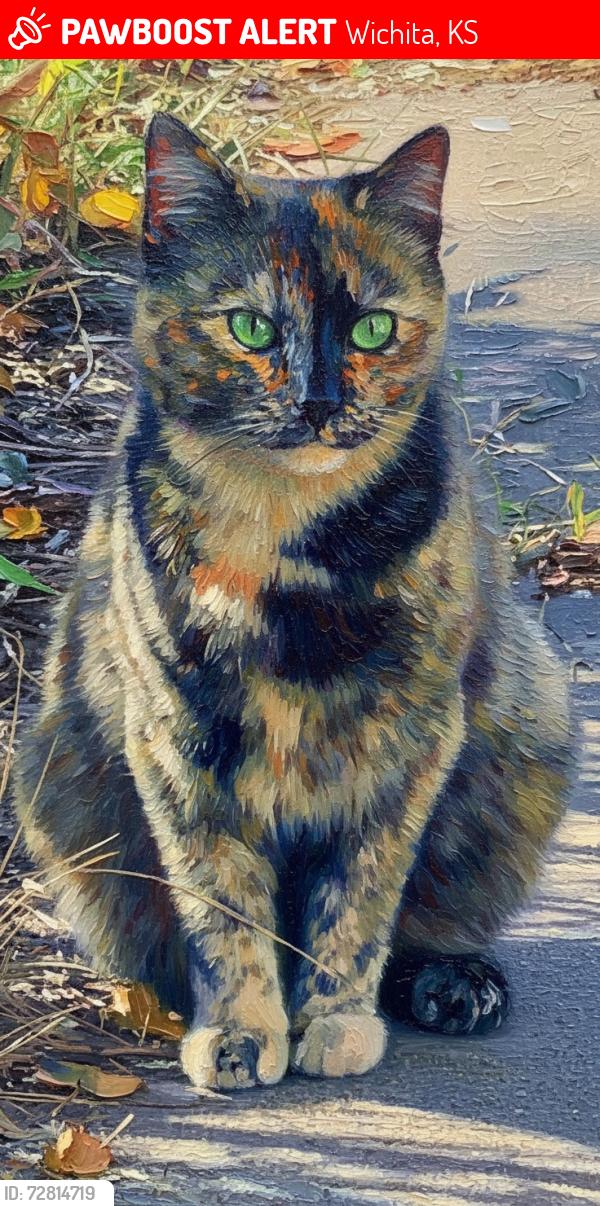 Lost Female Cat last seen Pawnee AMD broadview, Wichita, KS 67218