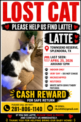 Lost Male Cat last seen Townsend Reserve, Splendora, TX 77372