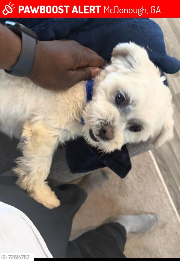 Lost Male Dog last seen Moorings Avenue , McDonough, GA 30253