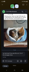 Lost Female Cat last seen Chalet motel port Washington road , Mequon, WI 53092
